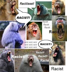 RacistBaboons