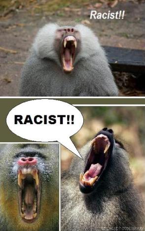 RacistBaboons