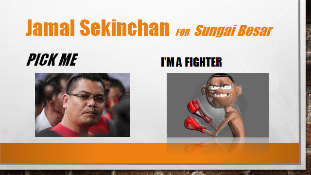 Jamal Sekinchan fighter